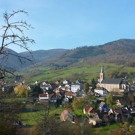 Gîte Schlitteur Et Sapiniere Breitenbach Exterior foto