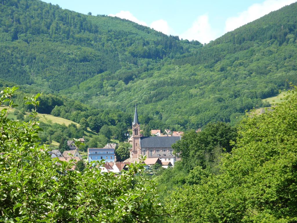 Gîte Schlitteur Et Sapiniere Breitenbach Exterior foto