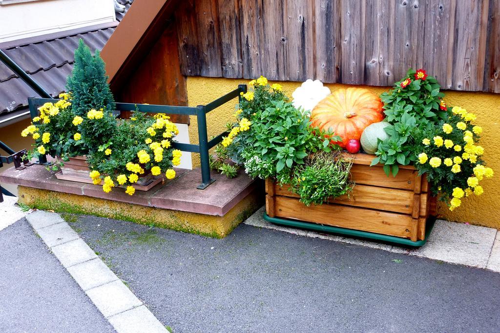 Gîte Schlitteur Et Sapiniere Breitenbach Exterior foto