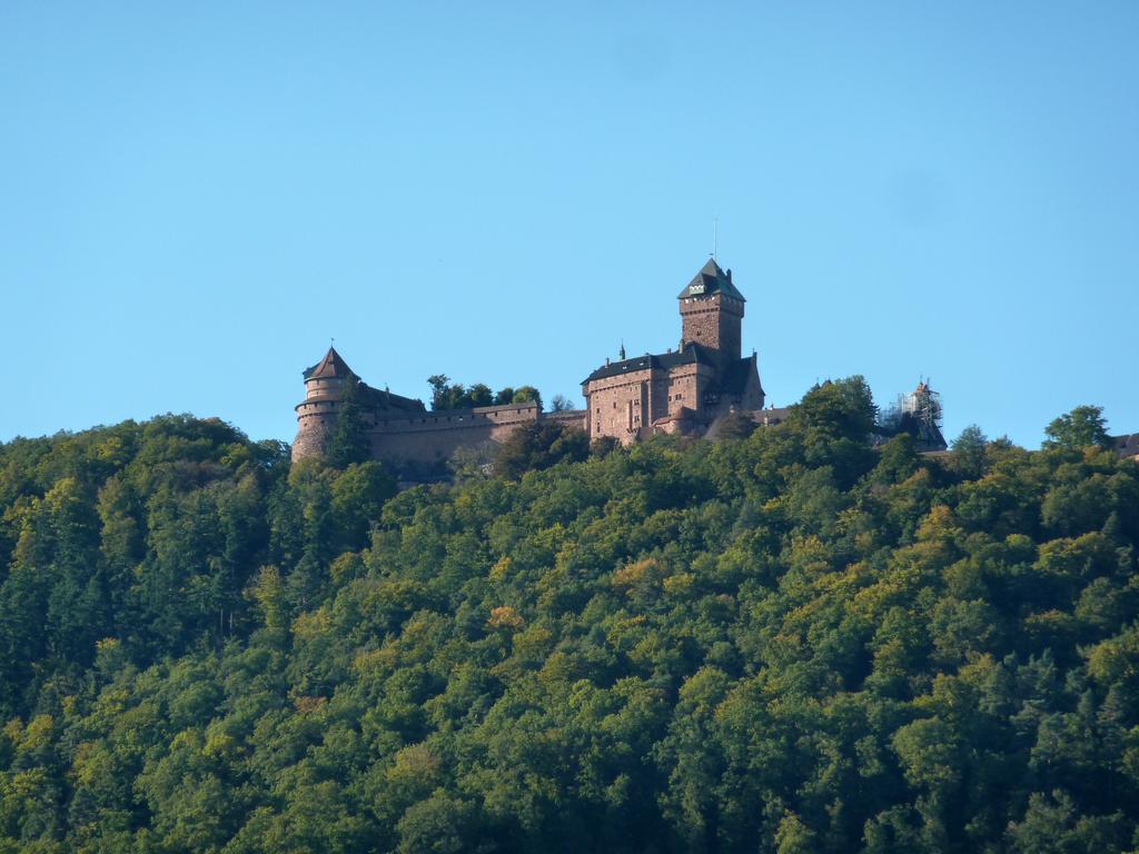 Gîte Schlitteur Et Sapiniere Breitenbach Exterior foto