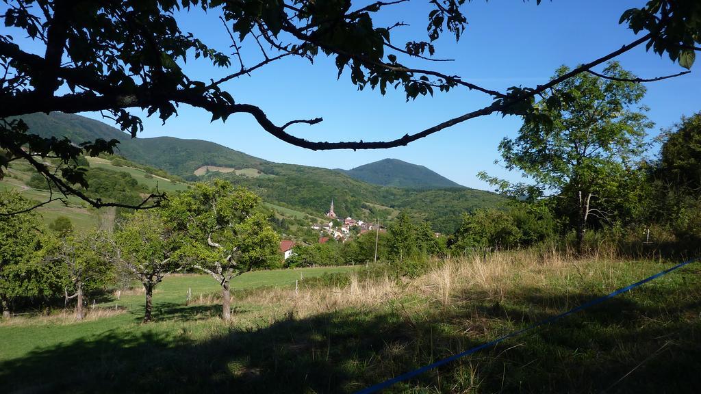 Gîte Schlitteur Et Sapiniere Breitenbach Exterior foto