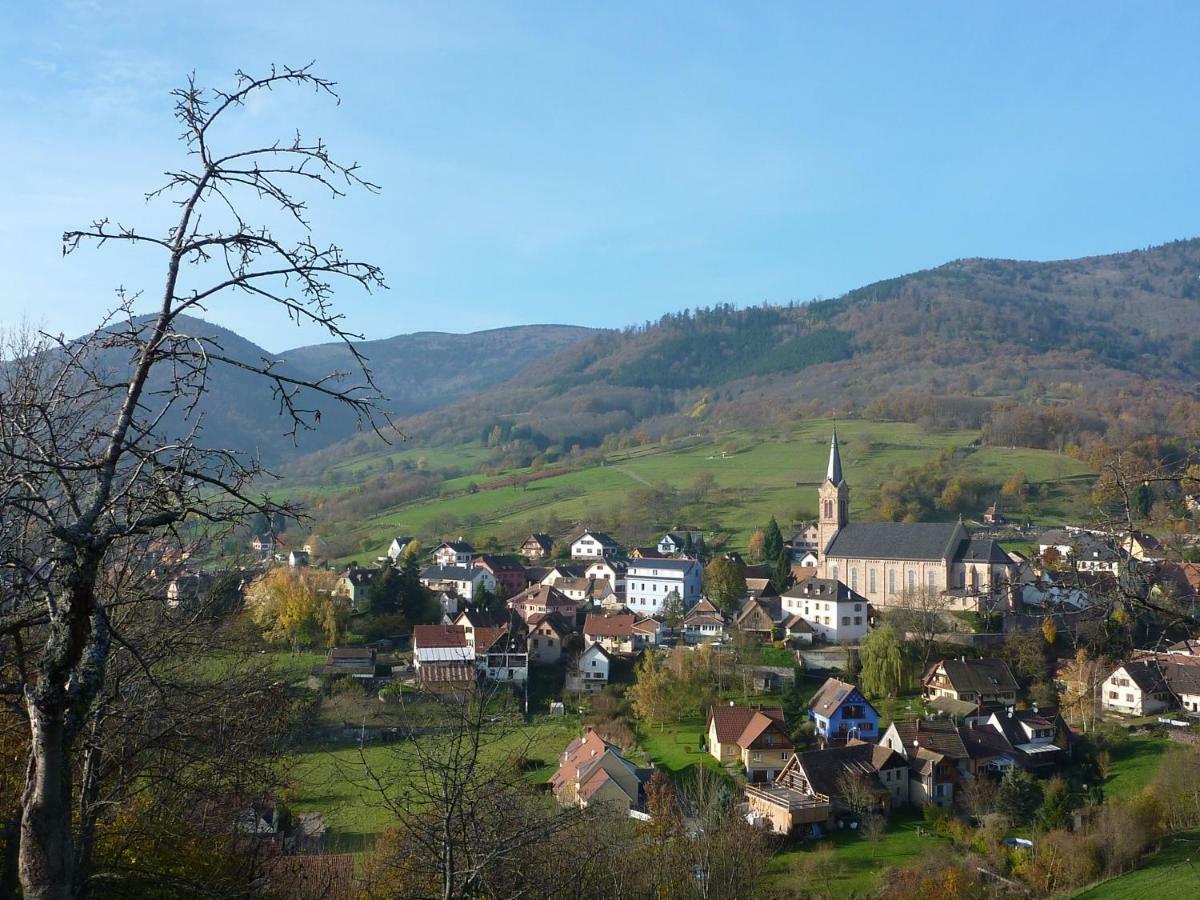 Gîte Schlitteur Et Sapiniere Breitenbach Exterior foto