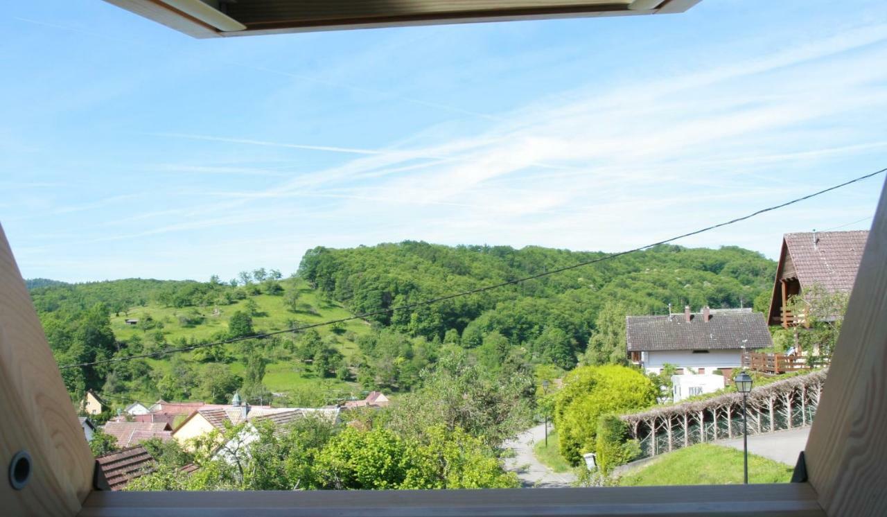 Gîte Schlitteur Et Sapiniere Breitenbach Exterior foto