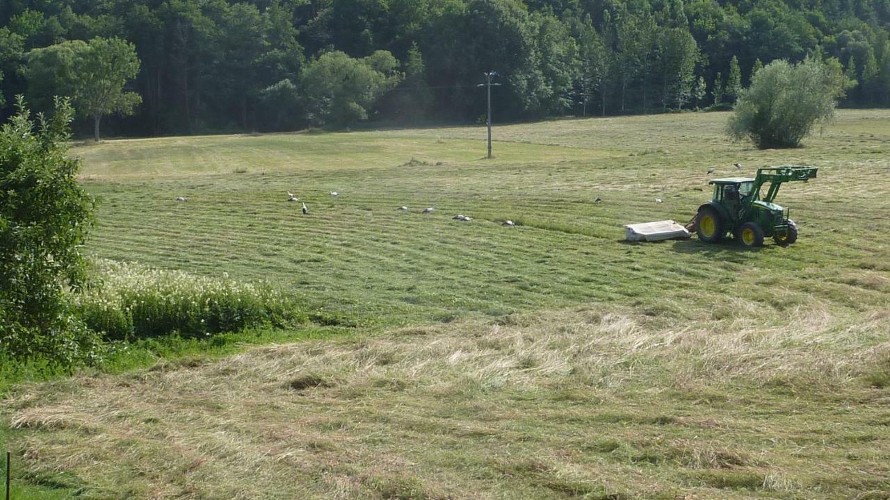 Gîte Schlitteur Et Sapiniere Breitenbach Exterior foto