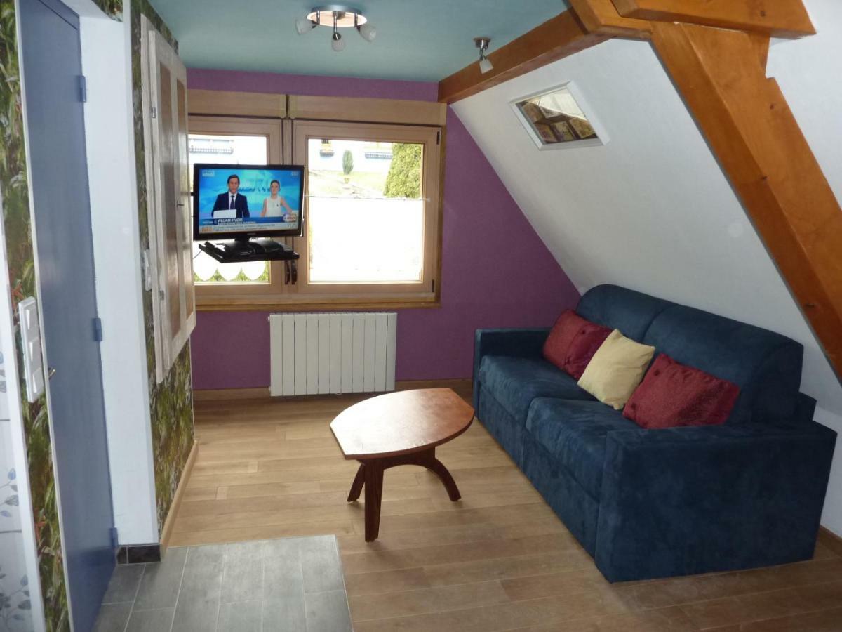 Gîte Schlitteur Et Sapiniere Breitenbach Exterior foto
